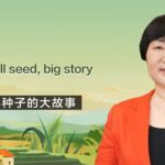 Seeds of Change: How One Woman in Yunnan is Preserving Local Corn Varieties video poster