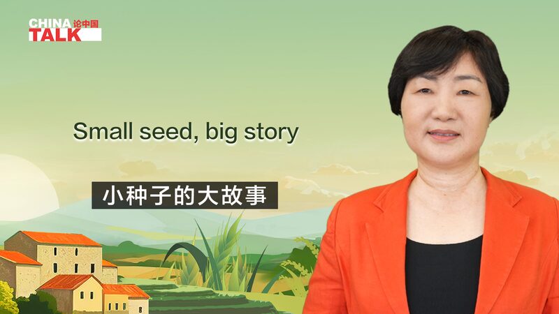 Seeds_of_Change_How_One_Woman_in_Yunnan_is_Preserving_Local_Corn_Varieties_poster - Khabar Asia Seeds of Change: How One Woman in Yunnan is Preserving Local Corn Varieties video poster