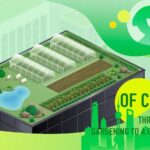Seeds of Change: Rooftop Farming Blooms in Urban Shanghai video poster
