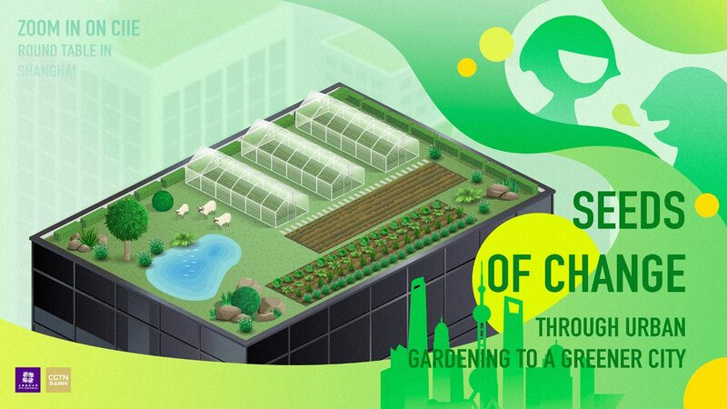 Seeds_of_Change_Rooftop_Farming_Blooms_in_Urban_Shanghai_poster - Khabar Asia Seeds of Change: Rooftop Farming Blooms in Urban Shanghai video poster