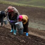 Seeds of Hope: Tibetan Herders Revive Qinghai's Degraded Grasslands video poster