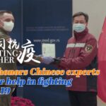Serbia Honors Chinese Medical Experts for COVID-19 Fight video poster