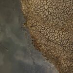 Severe Drought in Botswana Threatens Wildlife in Northern Regions