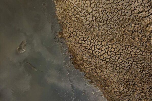 Severe Drought in Botswana Threatens Wildlife in Northern Regions Severe Drought in Botswana Threatens Wildlife in Northern Regions