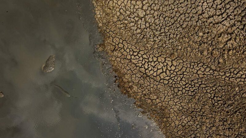 Severe_Drought_in_Botswana_Threatens_Wildlife_in_Northern_Regions - Khabar Asia Severe Drought in Botswana Threatens Wildlife in Northern Regions