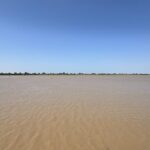 Shandong Unveils Biodiversity Strategy for Yellow River Delta