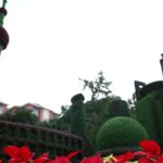 Shanghai_Embraces_Vibrant_Transformations_Ahead_of_7th_China_International_Import_Expo_2024