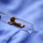 Shanghai Expands Healthcare Coverage to Include Assisted Reproductive Services