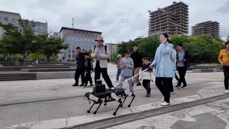 Shanghai Jiao Tong University Unveils Six-Legged Guide Robot for the Visually Impaired video poster