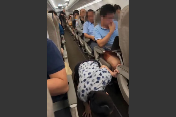 Shanghai Woman Detained for Sneaking Pet Sugar Glider onto Flight Shanghai Woman Detained for Sneaking Pet Sugar Glider onto Flight