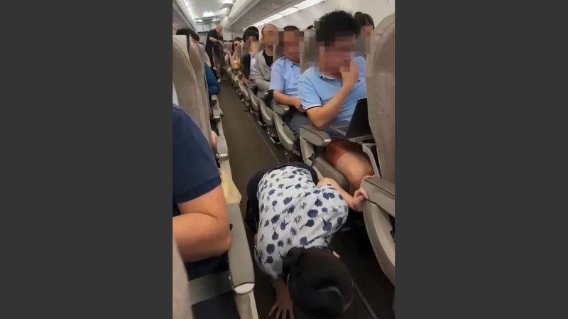 Shanghai Woman Detained for Sneaking Pet Sugar Glider onto Flight