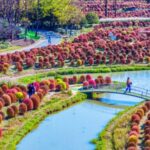Shanghai_s_Broomsedge_Transforms_into_Fluffy__Knitting_Wool_Balls_