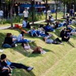 Shanghai's Urban Oasis: The Ergonomic Napping Spot That's Gone Viral video poster
