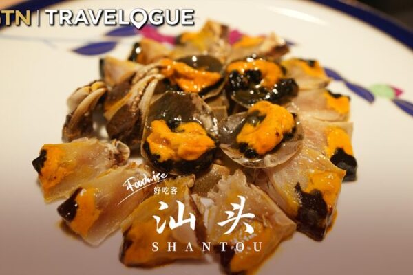 Shantou’s Tea Traditions and Culinary Delights: A Journey Through South China’s Cultural Gem Shantou's Tea Traditions and Culinary Delights: A Journey Through South China's Cultural Gem