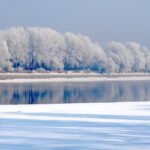 Shenyang's Rime-Covered Trees: Nature's Winter Masterpiece Along the Hunhe River