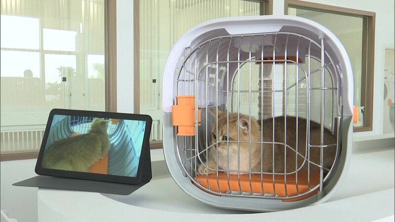 Shenzhen_Airport_Launches_Chinas_First_Pet-Friendly_Waiting_Lounge - Khabar Asia Shenzhen Airport Launches China's First Pet-Friendly Waiting Lounge