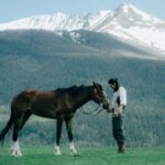 Shenzhen Hosts Global Cultural Fair, Showcasing International Creativity