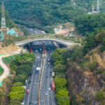 Shenzhen's Kunpeng Trail No.1 Bridge: A Wildlife Overpass Connecting Nature