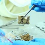 Shenzhou-17 Mission Samples Delivered to Chinese Scientists