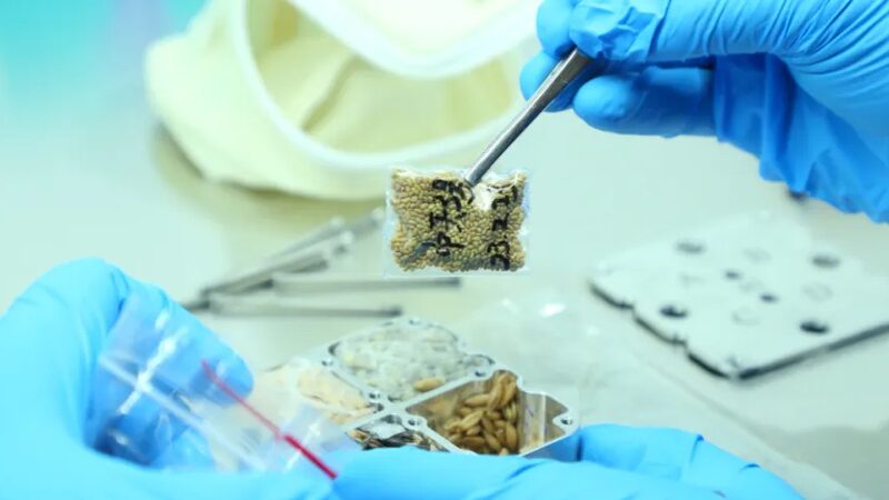 Shenzhou-17_Mission_Samples_Delivered_to_Chinese_Scientists - Khabar Asia Shenzhou-17 Mission Samples Delivered to Chinese Scientists
