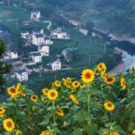 Shitan_Village__East_China_s_Hidden_Gem_Blossoms_Amid_Sea_of_Flowers