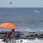 Shorebirds_Battle_Drones_on_New_York_City_Beaches