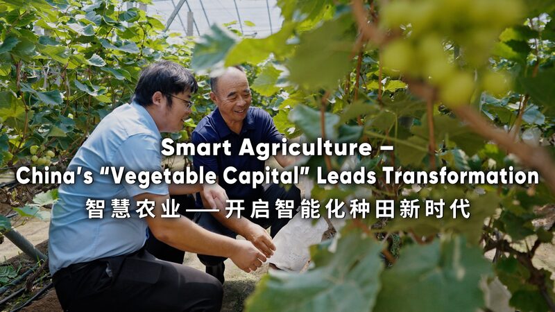 Shouguang_s_Smart_Agriculture_Leads_China_s_Green_Revolution_poster - Khabar Asia Shouguang_s_Smart_Agriculture_Leads_China_s_Green_Revolution video poster