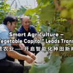 Shouguang_s_Smart_Agriculture_Revolutionizes_China_s__Vegetable_Capital_ video poster