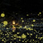 Sichuan's Tiantai Mountain Prepares for Enchanting Firefly Season