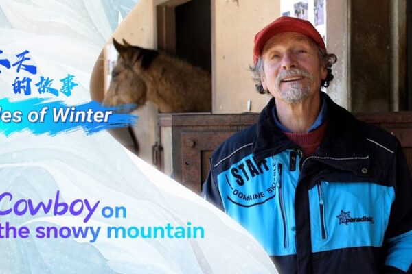 Skijoring Tales: A Day with Jacques Fillietroz, the Snowy Mountain Cowboy Skijoring_Tales__A_Day_with_Jacques_Fillietroz__the_Snowy_Mountain_Cowboy video poster