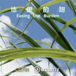 Smart Farming Eases Labor for India's Women Sugarcane Farmers video poster