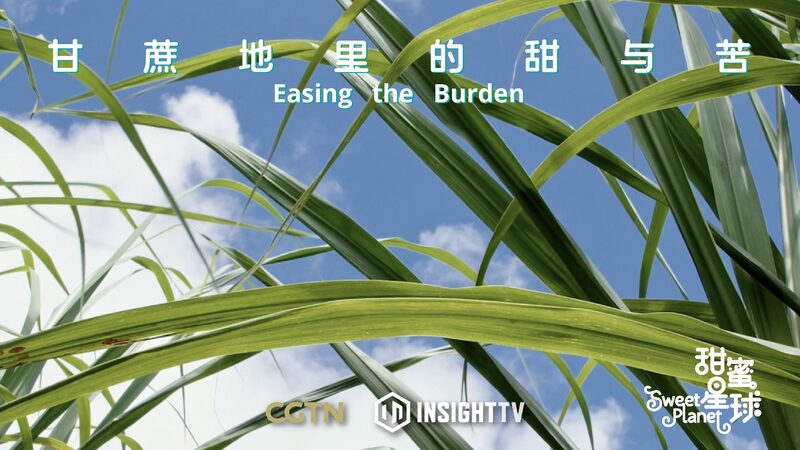 Smart_Farming_Eases_Labor_for_Indias_Women_Sugarcane_Farmers_poster - Khabar Asia Smart Farming Eases Labor for India's Women Sugarcane Farmers video poster