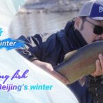 Snagging_Fish_in_Beijing_s_Winter__The_Rise_of_Fly_Fishing_in_China video poster