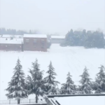 Snow_Blanketed_Henan_Province_Charms_Travelers_During_China_s_Spring_Festival_Rush video poster