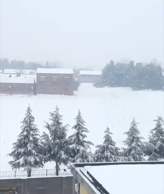 Snow-Blanketed Henan Province Charms Travelers During China’s Spring Festival Rush Snow_Blanketed_Henan_Province_Charms_Travelers_During_China_s_Spring_Festival_Rush video poster