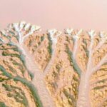 Soaring_Over_Dafeng__Milu_Deer_Roam_Freely_in_Revived_Wetlands video poster