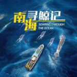 Soaring_Through_the_Ocean__A_Pilot_Whale_s_Journey_in_the_South_China_Sea_poster - Khabar Asia Soaring_Through_the_Ocean__A_Pilot_Whale_s_Journey_in_the_South_China_Sea video poster
