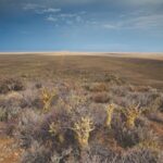 South_Africa_Calls_for_Enhanced_Climate_Finance_at_COP29