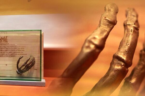 South_Africa_s_Fossil_Gift_to_President_Xi_Jinping_Symbolizes_Deepening_Friendship