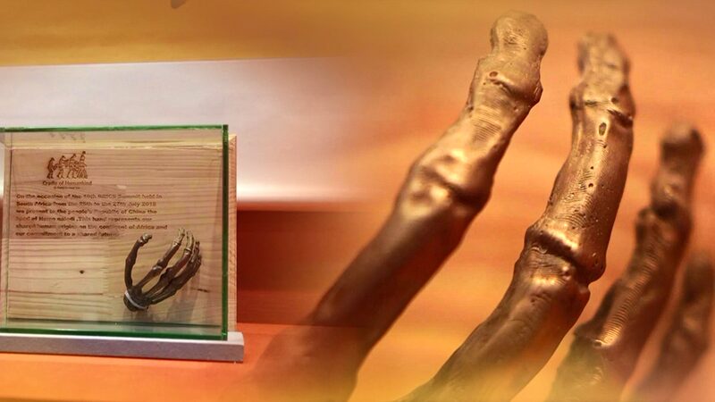 South_Africa_s_Fossil_Gift_to_President_Xi_Jinping_Symbolizes_Deepening_Friendship - Khabar Asia South_Africa_s_Fossil_Gift_to_President_Xi_Jinping_Symbolizes_Deepening_Friendship