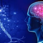 South_Korean_Scientists_Develop_Nano_MIND__A_Breakthrough_in_Wireless_Brain_Control