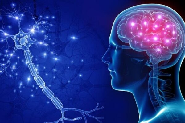 South Korean Scientists Develop Nano-MIND: A Breakthrough in Wireless Brain Control South_Korean_Scientists_Develop_Nano_MIND__A_Breakthrough_in_Wireless_Brain_Control