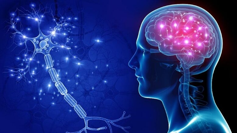 South_Korean_Scientists_Develop_Nano_MIND__A_Breakthrough_in_Wireless_Brain_Control - Khabar Asia South_Korean_Scientists_Develop_Nano_MIND__A_Breakthrough_in_Wireless_Brain_Control