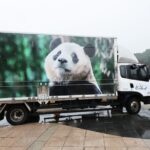 South Korea's Beloved Panda Fu Bao Departs for China video poster