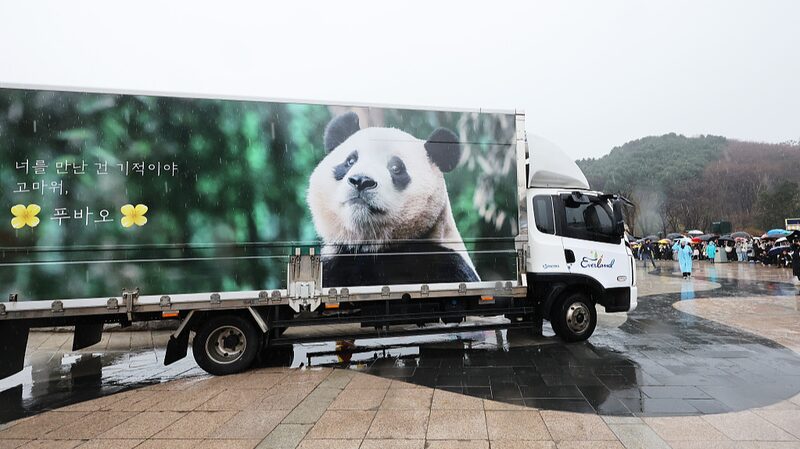 South_Koreas_Beloved_Panda_Fu_Bao_Departs_for_China_poster - Khabar Asia South Korea's Beloved Panda Fu Bao Departs for China video poster
