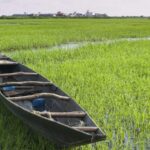 South Sudan's Climate Resilience Project: Lessons for Asian Agro-Pastoral Communities