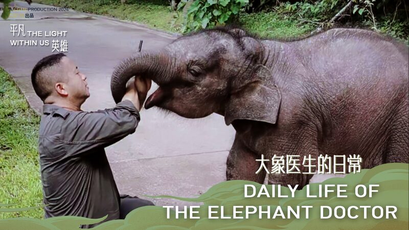 Southwest_Chinas_Elephant_Dad_The_Inspiring_Journey_of_Elephant_Doctor_Bao_Mingwei_poster - Khabar Asia Southwest China's 'Elephant Dad': The Inspiring Journey of Elephant Doctor Bao Mingwei video poster
