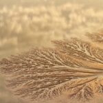 Spectacular 'Tidal Trees' of Qiantang River Reach Peak Viewing Season video poster