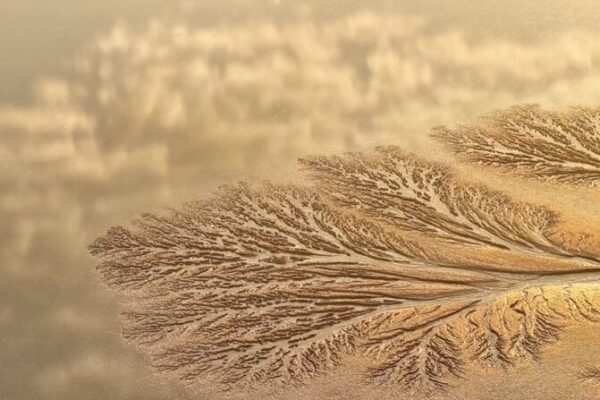 Spectacular 'Tidal Trees' of Qiantang River Reach Peak Viewing Season video poster