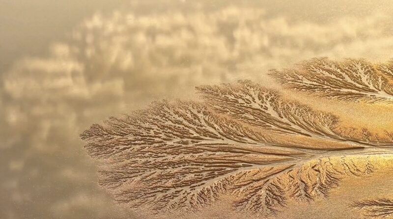 Spectacular_Tidal_Trees_of_Qiantang_River_Reach_Peak_Viewing_Season_poster - Khabar Asia Spectacular 'Tidal Trees' of Qiantang River Reach Peak Viewing Season video poster
